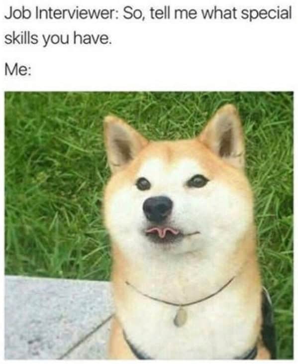 animal memes, funny animal memes, pet memes, humorous pet memes cat memes, kitten memes, feline memes, funny cats memes dog memes, puppy memes, canine memes, hilarious dog memes cute animal memes, adorable memes, charming pet memes, endearing animal memes