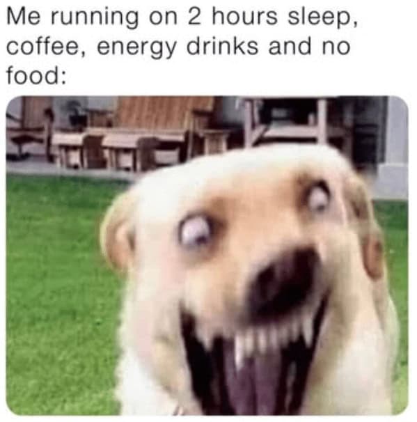 animal memes, funny animal memes, pet memes, humorous pet memes cat memes, kitten memes, feline memes, funny cats memes dog memes, puppy memes, canine memes, hilarious dog memes cute animal memes, adorable memes, charming pet memes, endearing animal memes