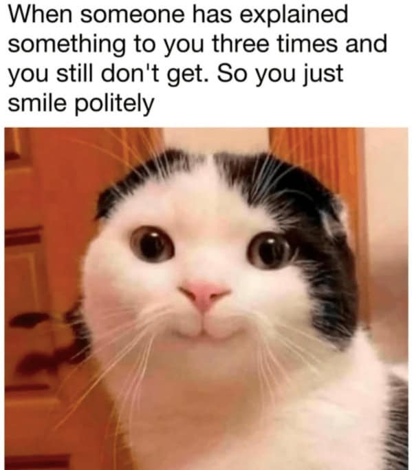 animal memes, funny animal memes, pet memes, humorous pet memes cat memes, kitten memes, feline memes, funny cats memes dog memes, puppy memes, canine memes, hilarious dog memes cute animal memes, adorable memes, charming pet memes, endearing animal memes