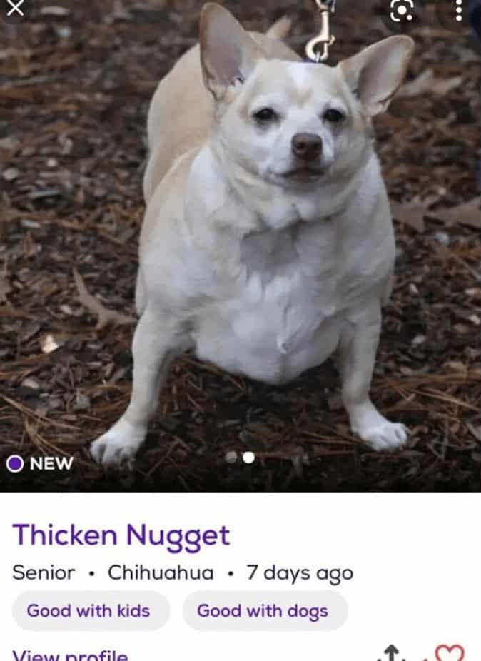 Thicken Nugget