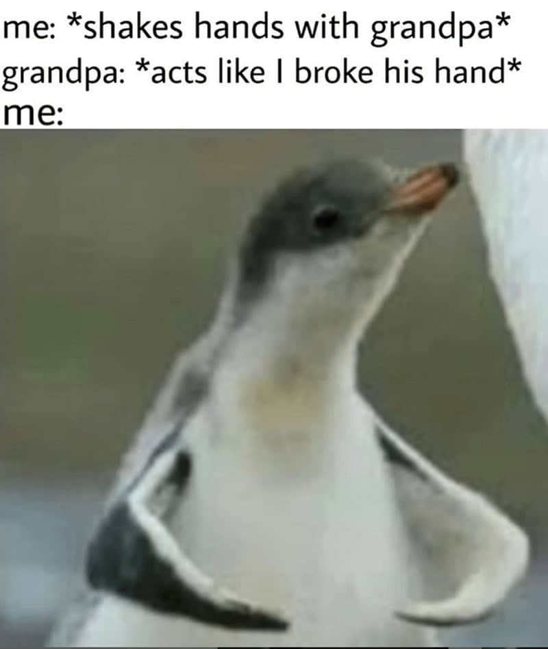 funny grandparents memes, grandparent memes, hilarious elders memes, comedic senior memes, grandma and grandpa memes, grandparent humor, older family jokes, golden-age fun, grandma jokes, elder quips, wrinkled wit