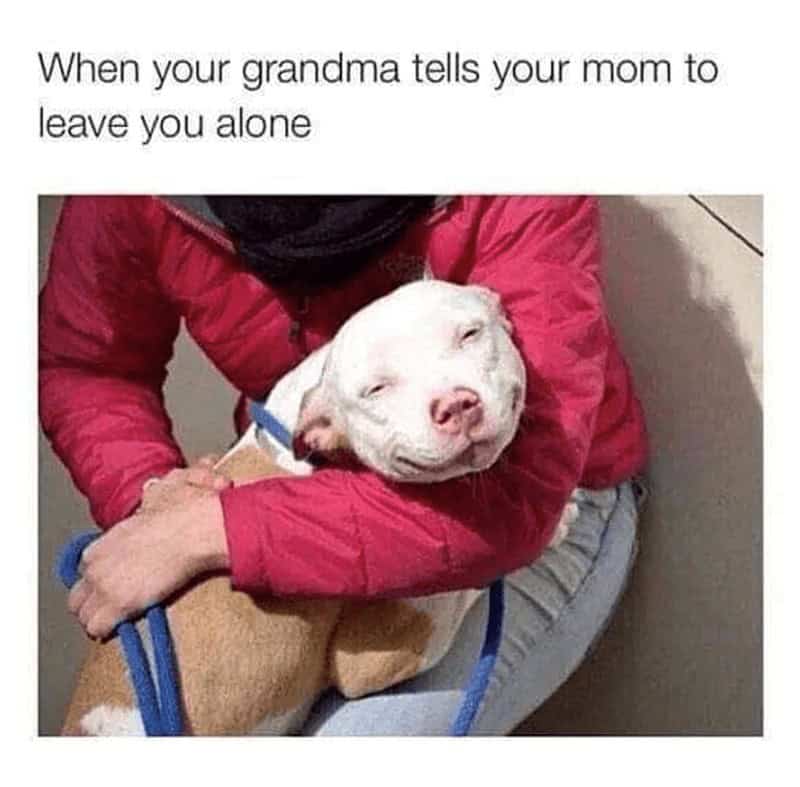 funny grandparents memes, grandparent memes, hilarious elders memes, comedic senior memes, grandma and grandpa memes, grandparent humor, older family jokes, golden-age fun, grandma jokes, elder quips, wrinkled wit