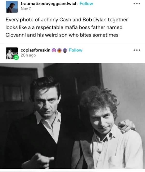 funny insults, savage roasts, clever roasts, humorous comebacks, witty burns, savage humor, sarcastic remarks, playful teasing, comedic insults. roast jokes, humorous retorts, witty humor, biting sarcasm