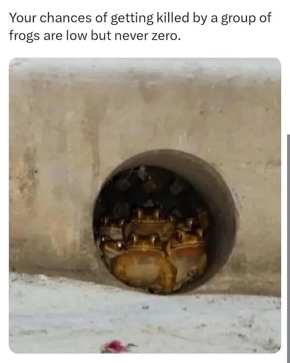 Your chances of getting killed by a group of frogs are low but never zero.