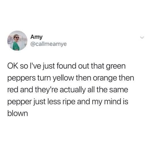 OK so live just found out that green peppers turn yellow then orange then red and they're actually all the same pepper just less ripe and my mind is blown