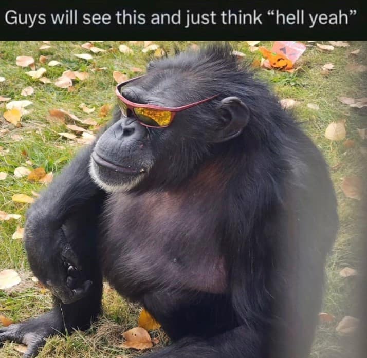 Guys will see this and just think "hell yeah"