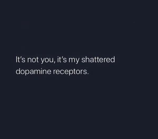 It's not you, it's my shattered dopamine receptors.