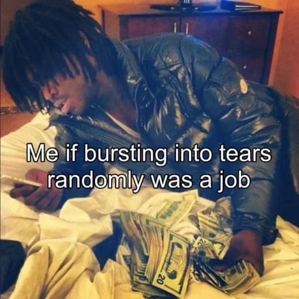 Me if bursting into tears randomly was a job