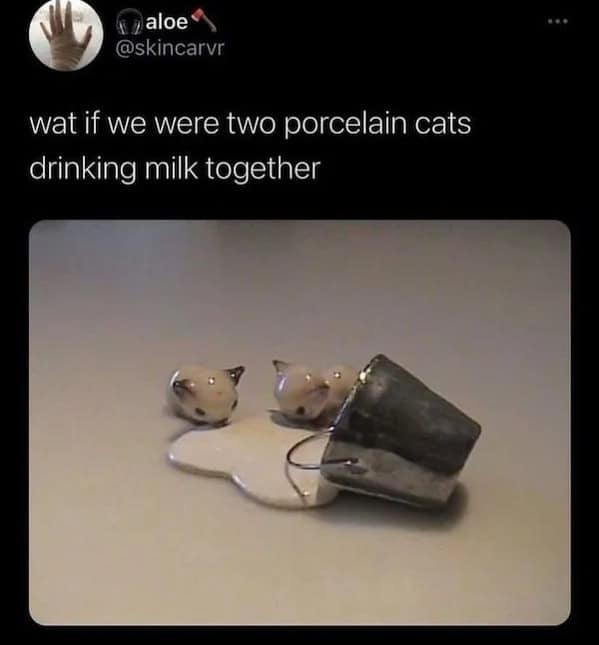 wat if we were two porcelain cats drinking milk together