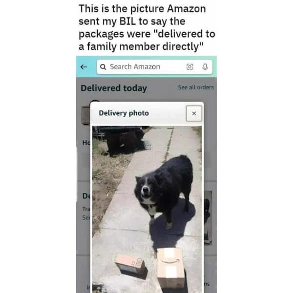 This is the picture Amazon sent my BIL to say the packages were "delivered to a family member directly"
