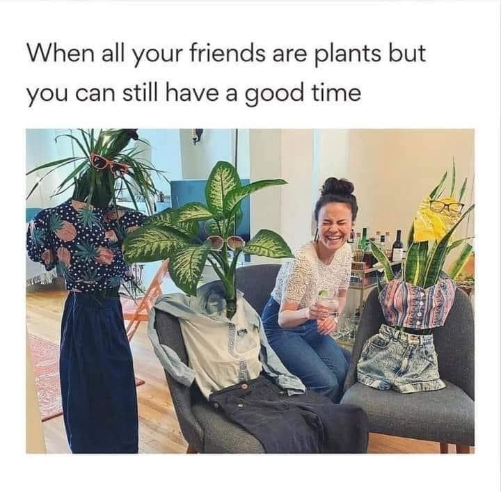 When all your friends are plants but you can still have a good time
