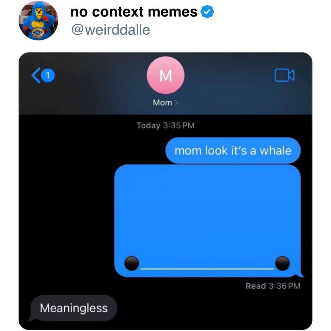 mom look it's a whale