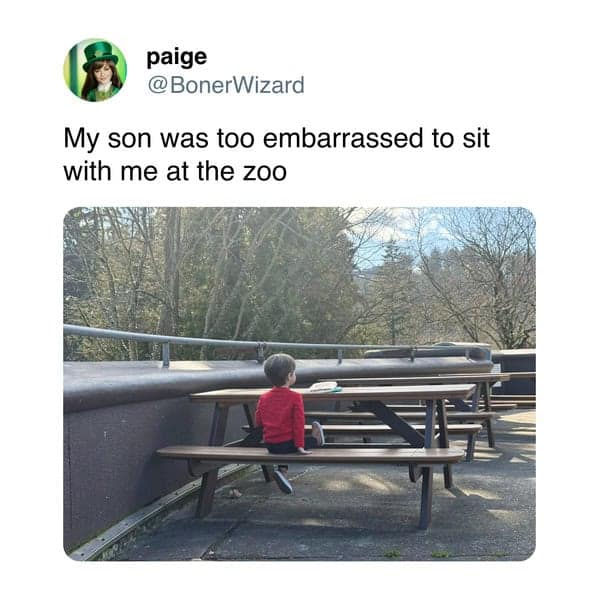 My son was too embarrassed to sit with me at the zoo