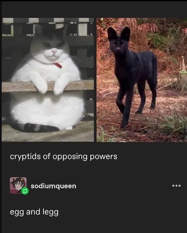 cryptids of opposing powers