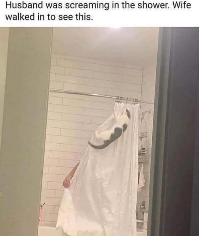 Husband was screaming in the shower. Wife walked in to see this.