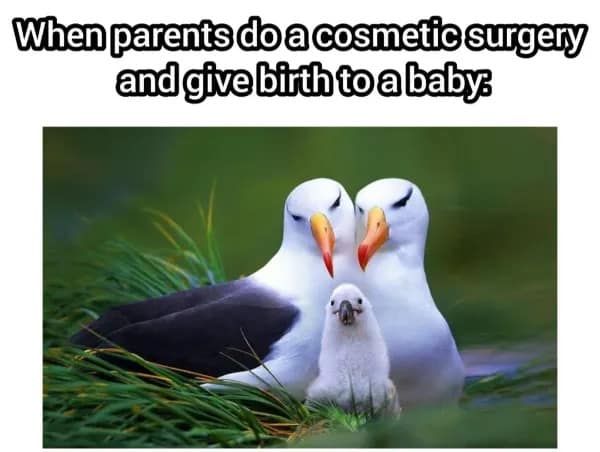 When parents do a cosmetic surgery and give birth to a baby: