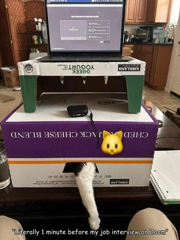 Literally 1 minute before my job interview on Zoom