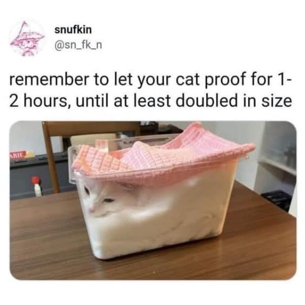 remember to let your cat proof for 1-2 hours, until at least doubled in size