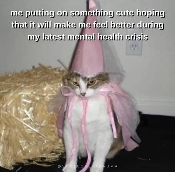 me putting on something cute hoping that it will make me feel better during my latest mental health crisis