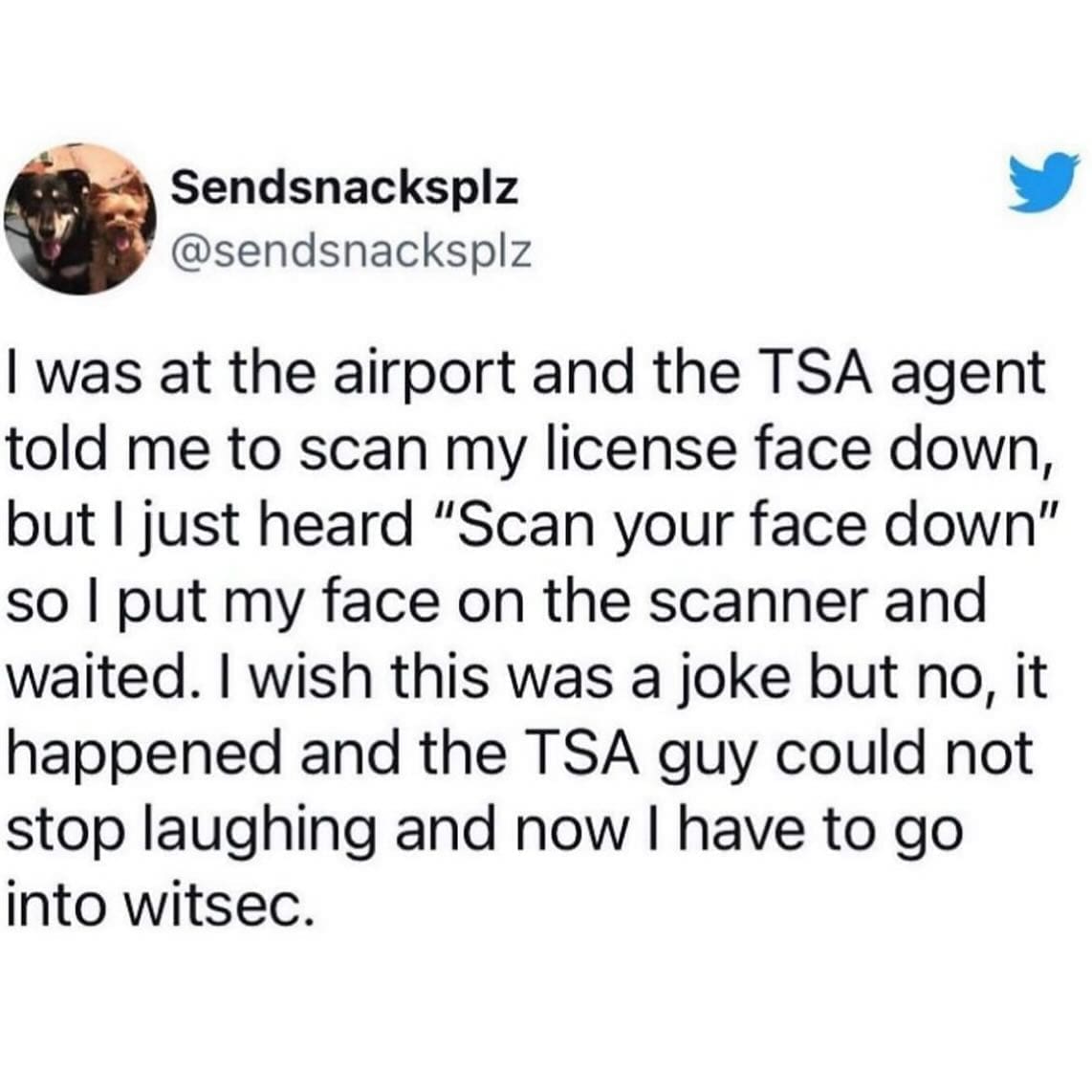 I was at the airport and the TSA agent told me to scan my license face down, but I just heard "Scan your face down" so l put my face on the scanner and waited. I wish this was a joke but no, it happened and the TSA guy could not stop laughing and now I have to go into witsec.