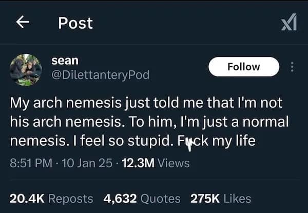 My arch nemesis just told me that I'm not his arch nemesis. To him, I'm just a normal nemesis. I feel so stupid.