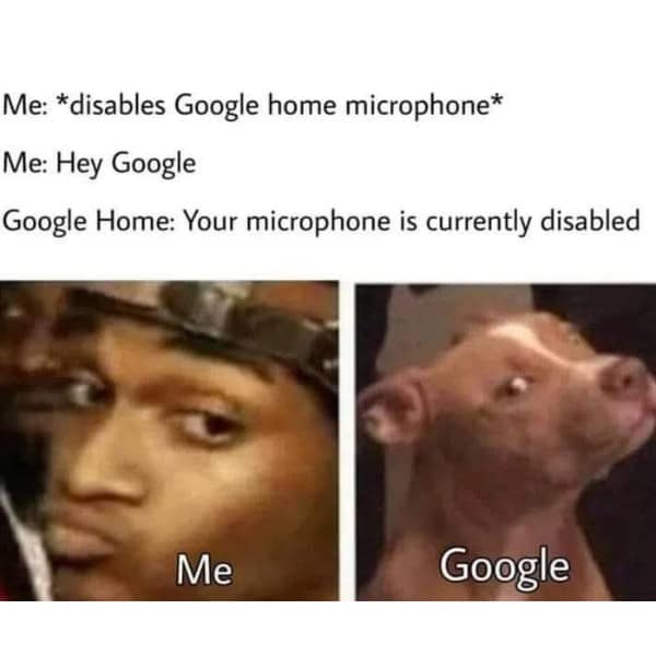 Me: *disables Google home microphone* Me: Hey Google Google Home: Your microphone is currently disabled