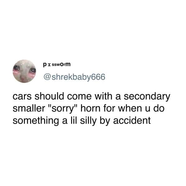 cars should come with a secondary smaller "sorry" horn for when u do something a lil silly by accident