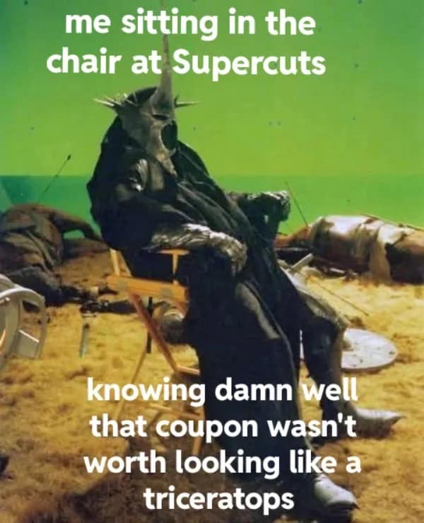 me sitting in the chair at Supercuts knowing damn well that coupon wasn't worth looking like a triceratops