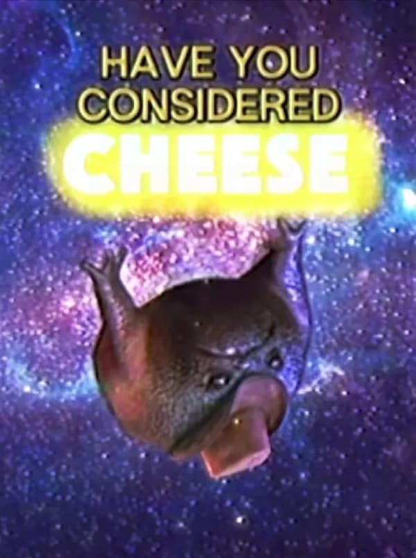 HAVE YOU CONSIDERED CHEESE