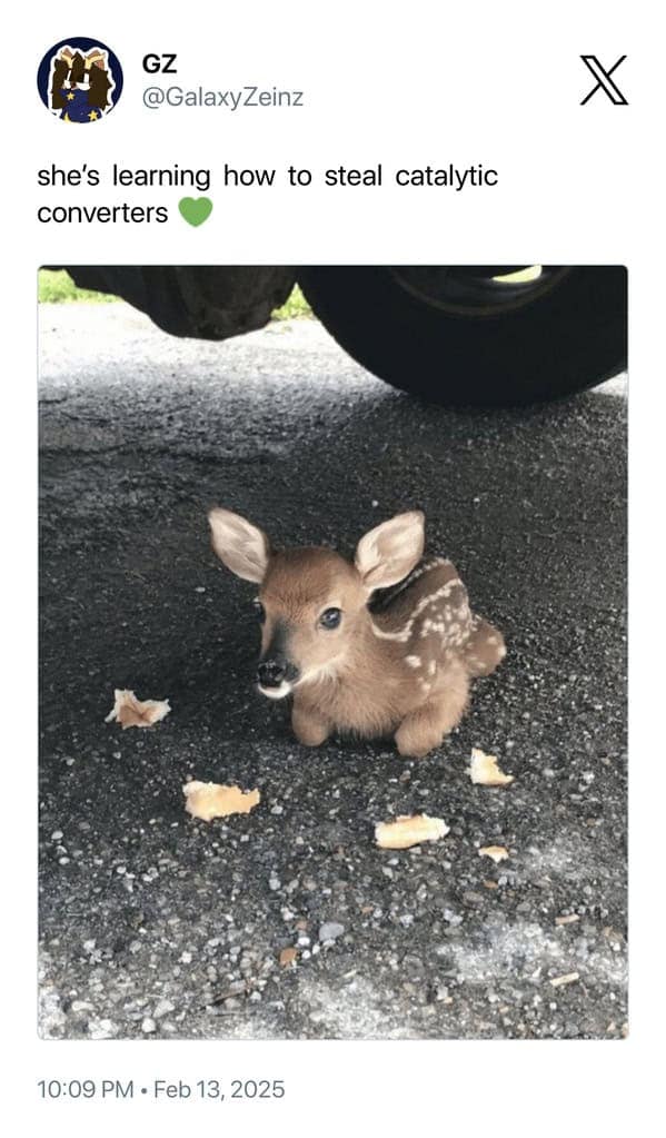 funny picture tweets, funny tweets, hilarious tweets, image posts, tweet memes, viral Twitter images, Twitter humor, visual tweet memes, comedic tweets, funny image captions, viral tweet pictures