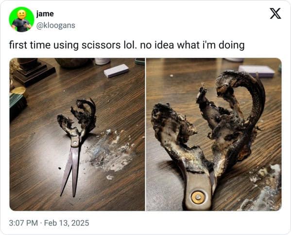 funny picture tweets, funny tweets, hilarious tweets, image posts, tweet memes, viral Twitter images, Twitter humor, visual tweet memes, comedic tweets, funny image captions, viral tweet pictures