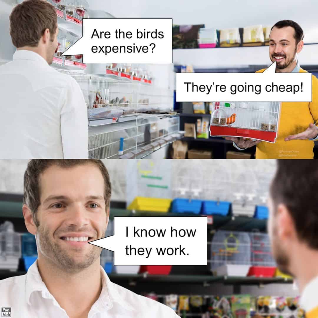 funny puns, punny memes, punny memes, punny jokes, pun humor, pun-based comedy, playful word jabs, witty phrase pictures, pun jokes, pun lines, pun quips