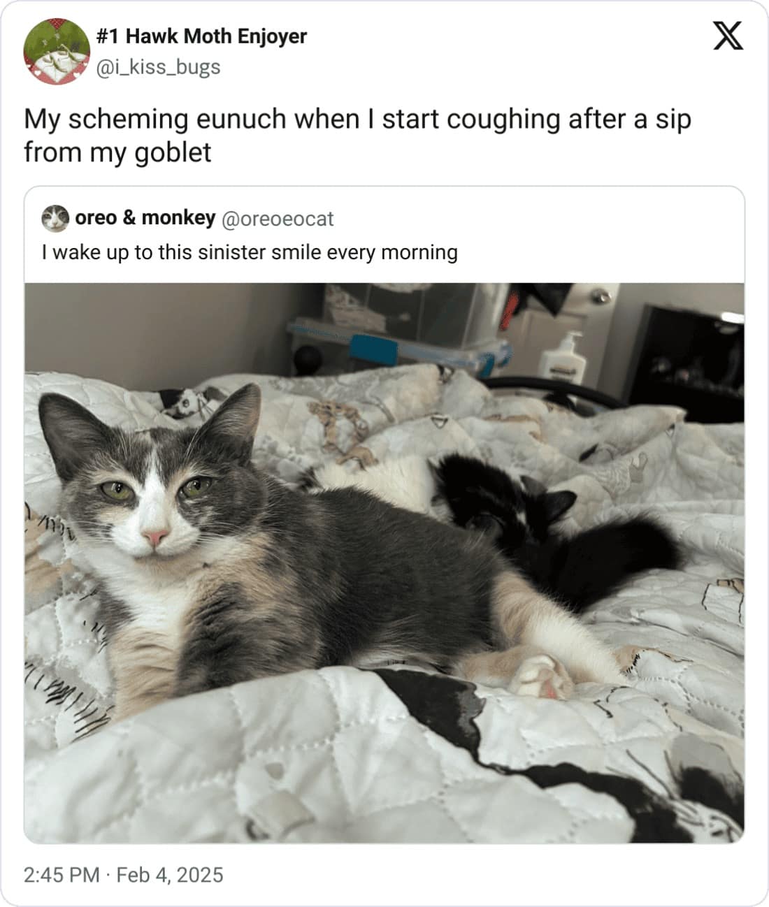 My scheming eunuch when I start coughing after a sip from my goblet