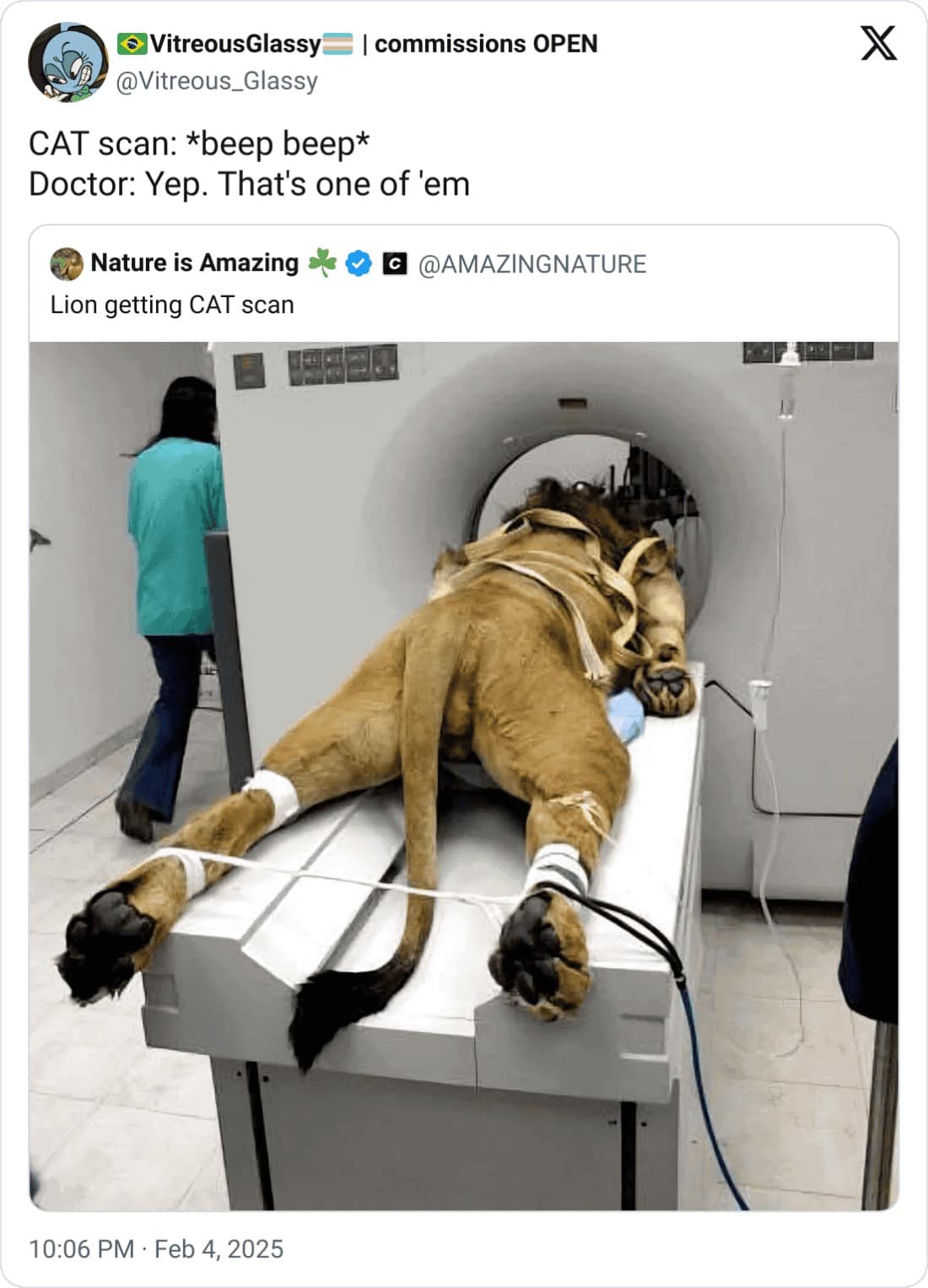 CAT scan: *beep beep* Doctor: Yep. That's one of 'em