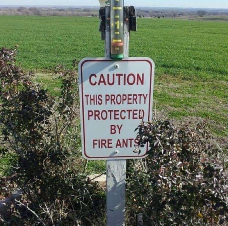 funny reddit posts, comedic Reddit threads, hilarious forum entries, amusing posts, internet humor, online comedic content, social web jokes, digital laughs, short funny stories, comedic anecdotes, humorous everyday tales, random comedic lines