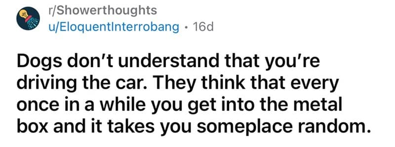 funny shower thoughts, shower thoughts, humorous thoughts, weird realizations, amusing insights, random thoughts, deep shower thoughts, philosophical memes, quirky observations, existential humor, everyday humor, life humor, daily realizations