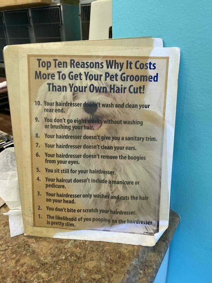 funny signs, comedy signs, humorous signs, comedic signage, public sign memes, signage humor, street post jokes, sarcastic signs, witty placards, ridiculous signs