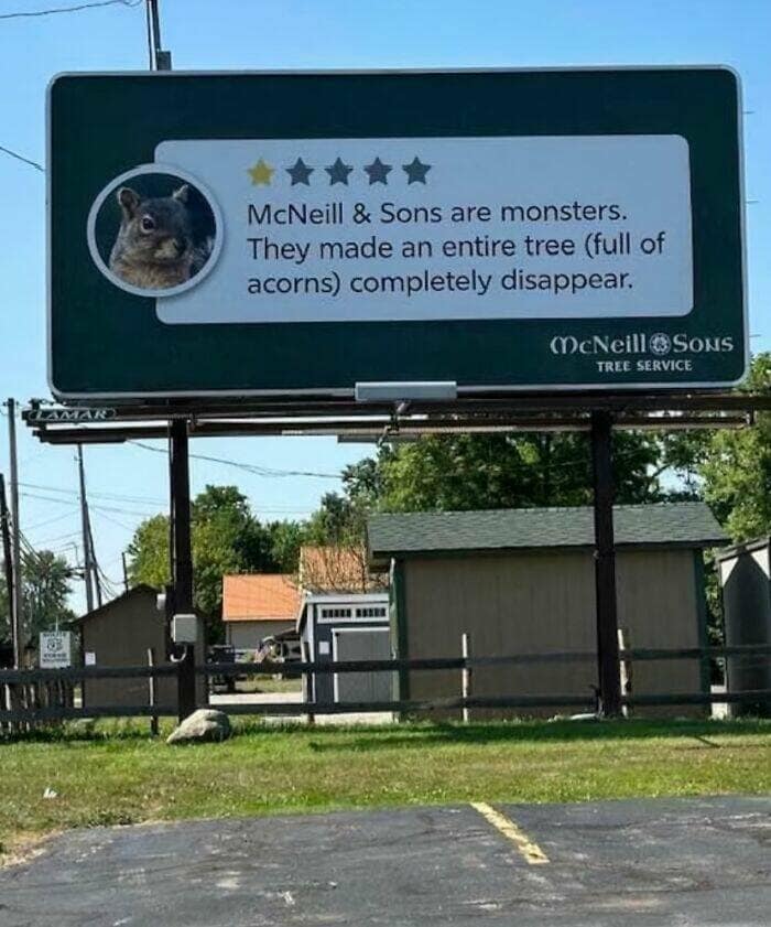 funny signs, comedy signs, humorous signs, comedic signage, public sign memes, signage humor, street post jokes, sarcastic signs, witty placards, ridiculous signs