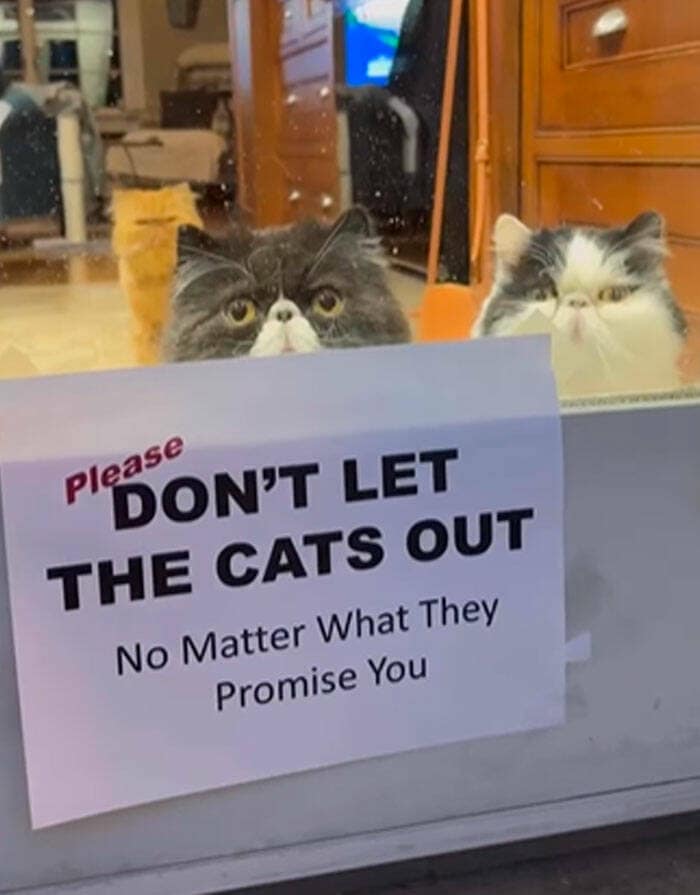 funny signs, comedy signs, humorous signs, comedic signage, public sign memes, signage humor, street post jokes, sarcastic signs, witty placards, ridiculous signs