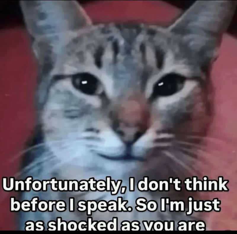 Unfortunately, I don't think before I speak. So I'm just as shocked as vou are