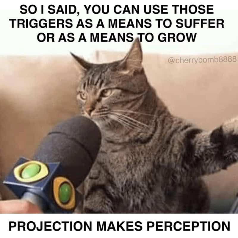SO I SAID, YOU CAN USE THOSE TRIGGERS AS A MEANS TO SUFFER OR AS A MEANS TO GROW