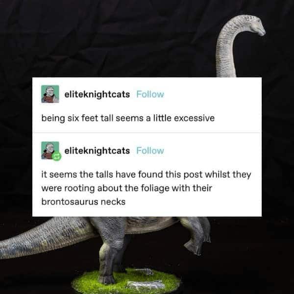 funny tumblr posts, hilarious Tumblr content, amusing Tumblr finds, humorous Tumblr moments, internet humor, viral posts, meme culture, popular Tumblr memes, funny social media, Tumblr memes, funny internet posts, random humor