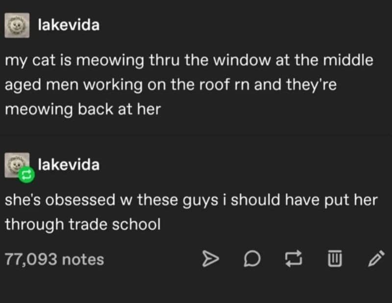 funny tumblr posts, hilarious Tumblr content, amusing Tumblr finds, humorous Tumblr moments, internet humor, viral posts, meme culture, popular Tumblr memes, funny social media, Tumblr memes, funny internet posts, random humor