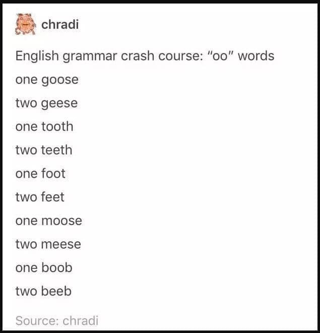 funny tumblr posts, hilarious Tumblr content, amusing Tumblr finds, humorous Tumblr moments, internet humor, viral posts, meme culture, popular Tumblr memes, funny social media, Tumblr memes, funny internet posts, random humor