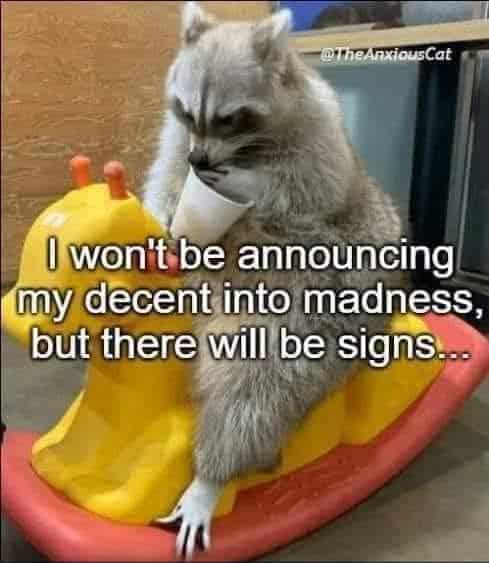 grumpy animal memes, animal memes, moody animal memes, irritated pet memes, annoyed animal memes, animal humor, funny animal pics, hilarious pet memes, wildlife memes, sarcastic memes, cynical animal memes, relatable pet humor, pet frustration memes, funny animal memes