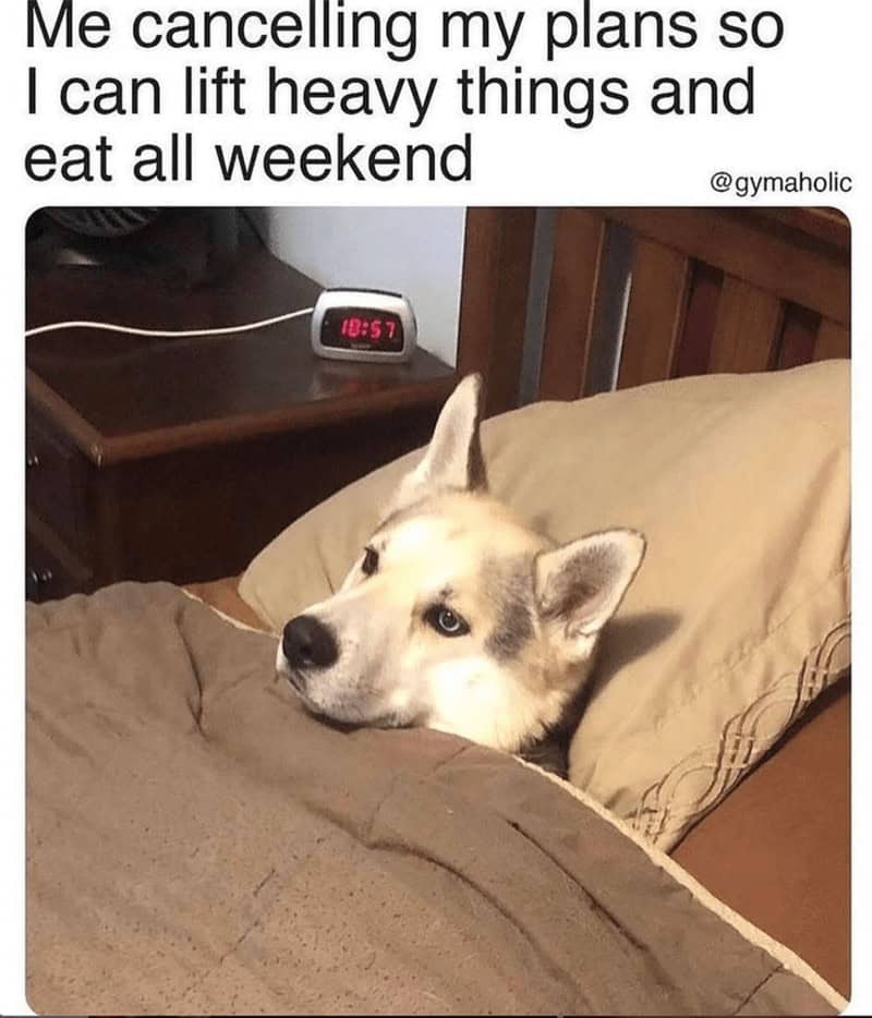 gym memes, workout memes, fitness memes, exercise memes, fitness motivation, workout humor, gym humor, fitness jokes, exercise fails, diet memes, health memes, workout fails