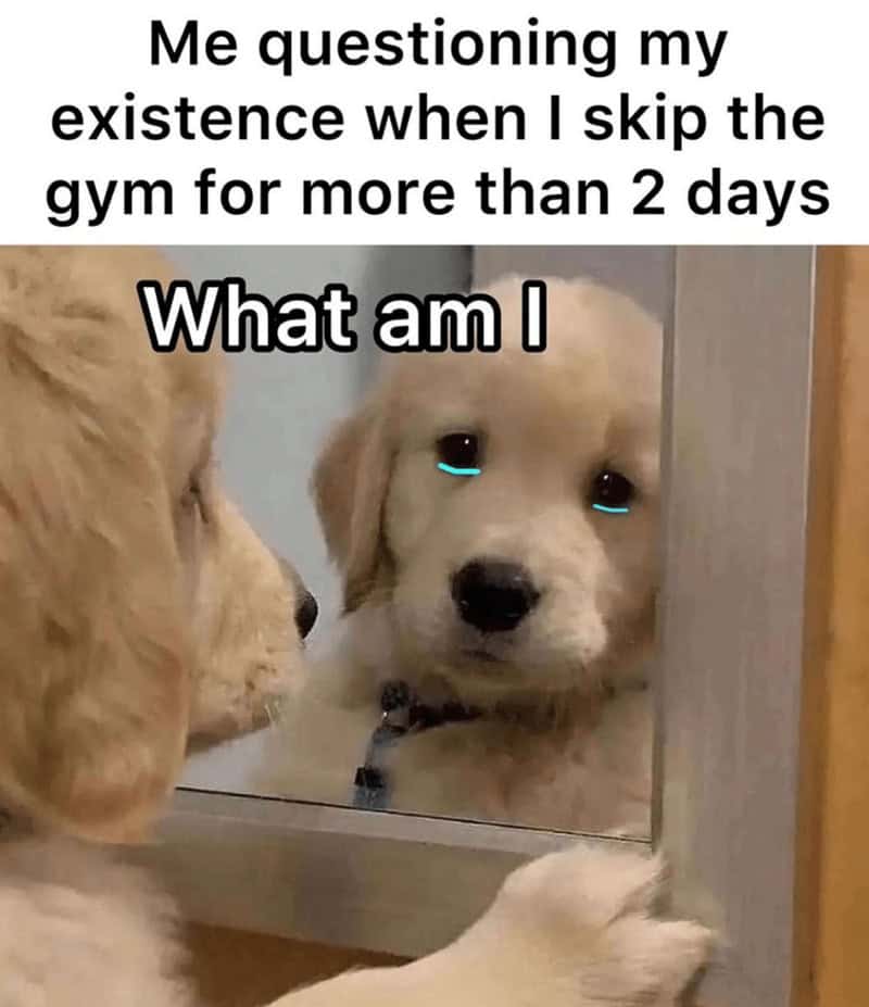 gym memes, workout memes, fitness memes, exercise memes, fitness motivation, workout humor, gym humor, fitness jokes, exercise fails, diet memes, health memes, workout fails