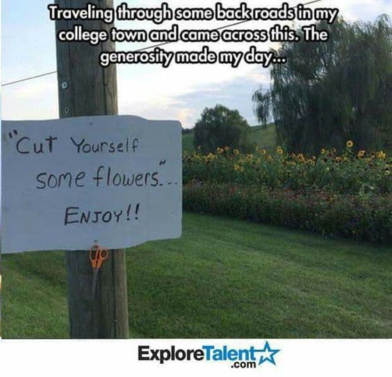 Traveling through some back roads in my college town and came across this. The generosity made my day... Cut Yourself some flowers. ENJOY!!