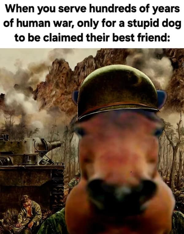 history memes, historical memes, historical humor, funny history pics, sarcastic history memes, world history jokes, history facts memes, educational memes, historical comedy memes, humorous historical moments, witty history images