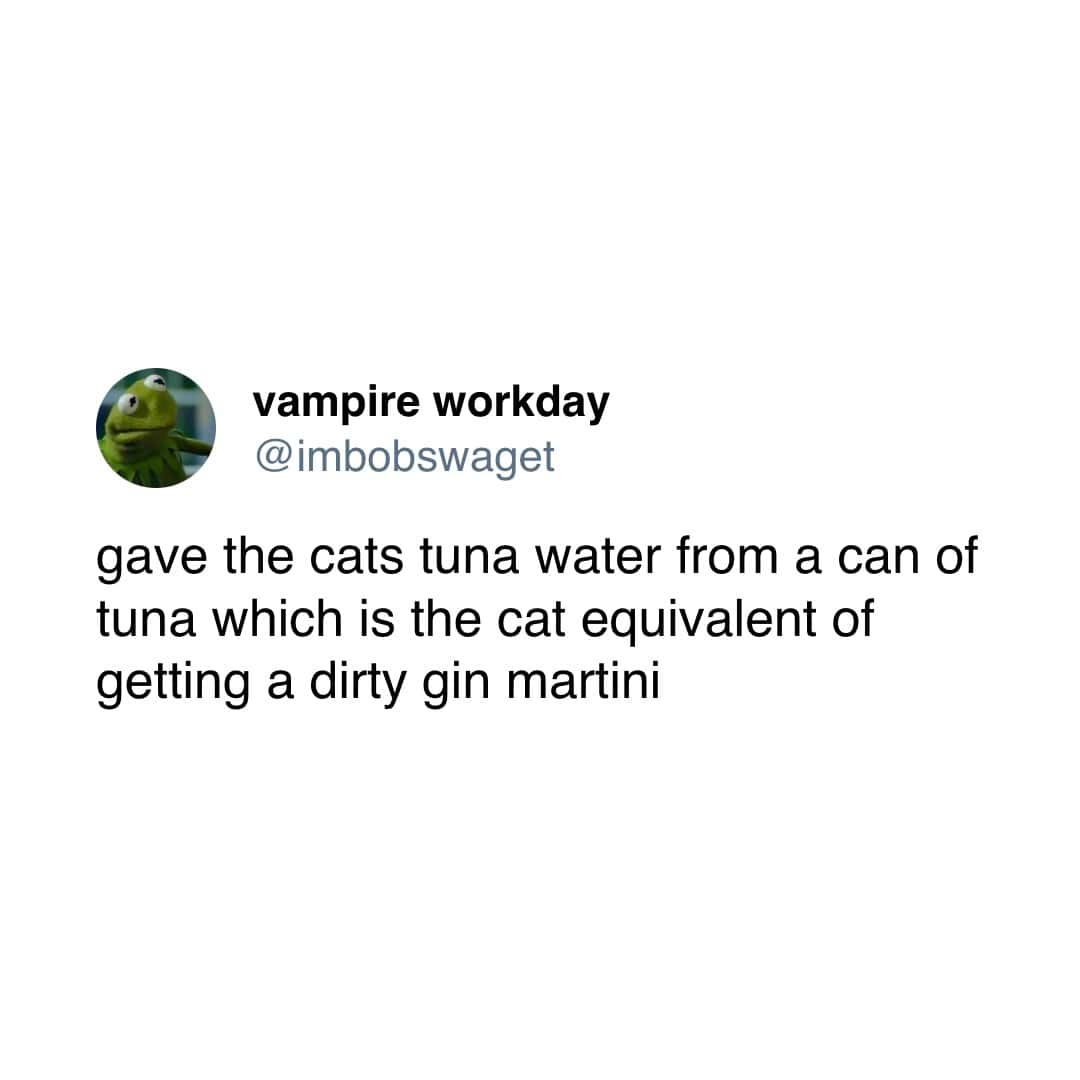gave the cats tuna water from a can of tuna which is the cat equivalent of getting a dirty gin martini